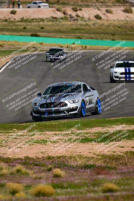 media/Feb-25-2024-Speed Ventures (Sun) [[b9a2a97a4d]]/Mustang Drivers Club/Session 3 (Turn 2)/